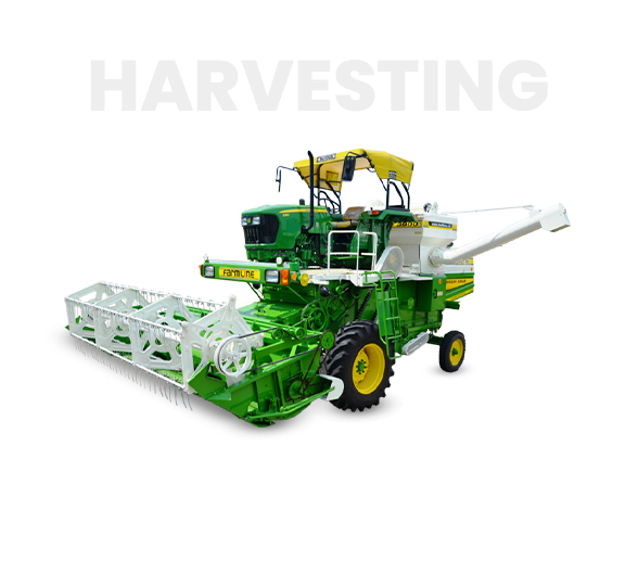 10-Deacetylbaccatin III