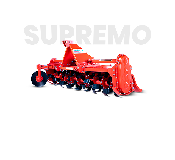 10-Deacetylbaccatin III