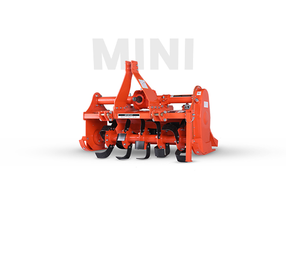 10-Deacetylbaccatin III