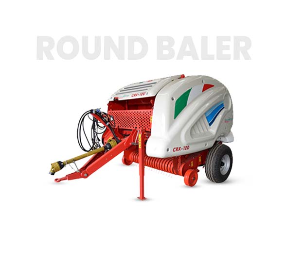 10-Deacetylbaccatin III