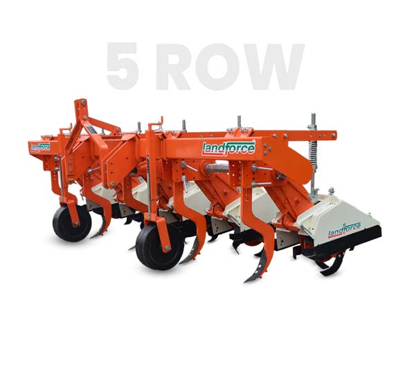 10-Deacetylbaccatin III