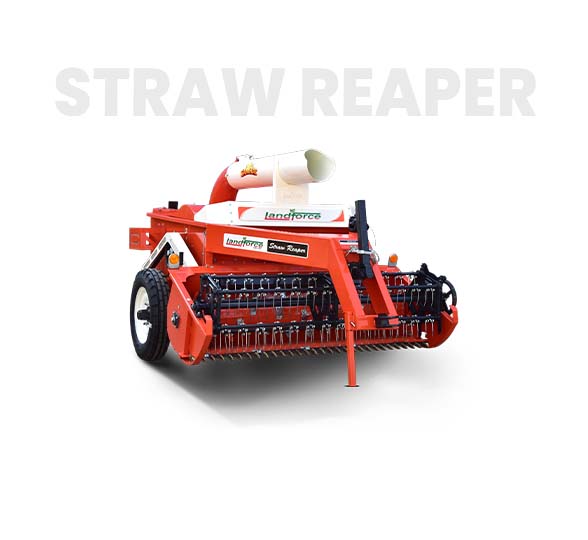 10-Deacetylbaccatin III